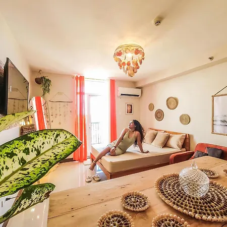 Tropical Studio 40Mbps